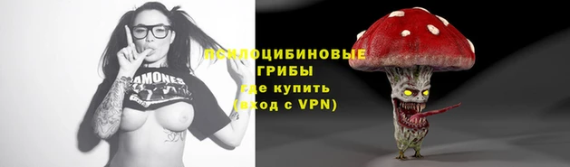apvp Нефтекумск