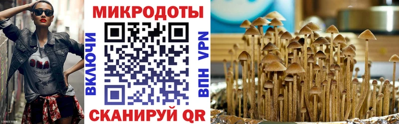 omg онион  Омск  Галлюциногенные грибы Psilocybine cubensis 